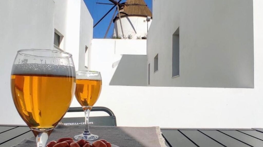 Aperitivo en la terraza del apartamento 4 con el molino de Las Negras