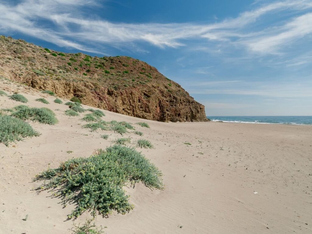 Dunas y playa virgen del Parque Natural de Cabo de Gata